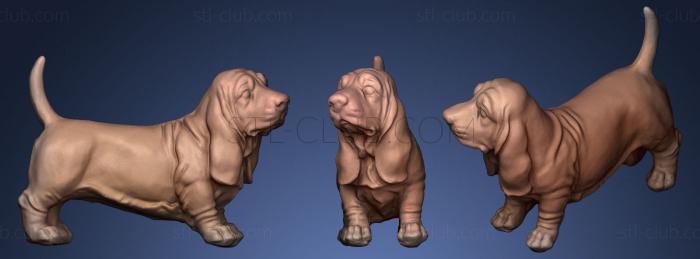 3D model Basset Hound (STL)